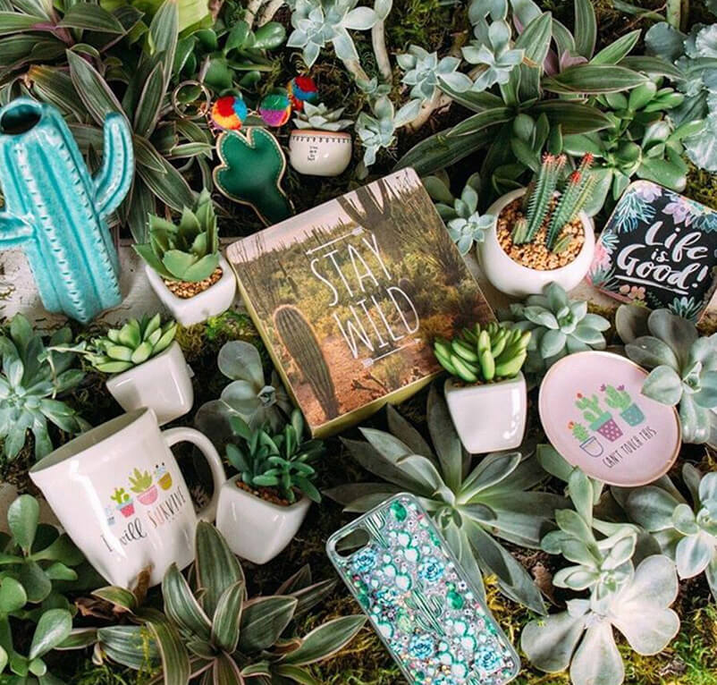 Inwood Village Dallas Shopping